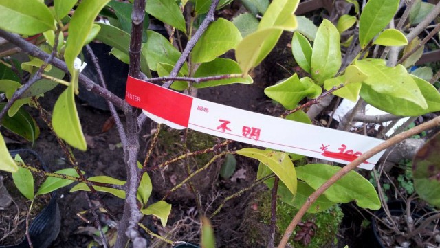 もの売ってるってレベルじゃねーぞ もの売ってるってレベルじゃねーぞ