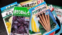 土地はあれども人手不足~春蒔き種を買いに行くの巻~ 土地はあれども人手不足~春蒔き種を買いに行くの巻~