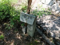 京都天皇陵散策 京都天皇陵散策