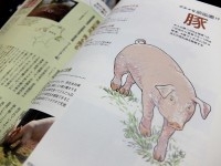 豚を放牧して除草 豚を放牧して除草