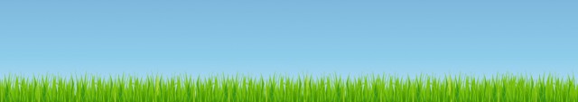 来年の開墾に向けて、少し濃い目の除草剤を散布しました。 来年の開墾に向けて、少し濃い目の除草剤を散布しました。