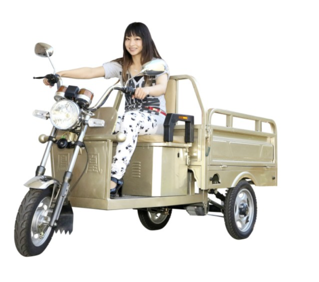 大きな荷台の付いた電気3輪車「武蔵」が気になる。 大きな荷台の付いた電気3輪車「武蔵」が気になる。